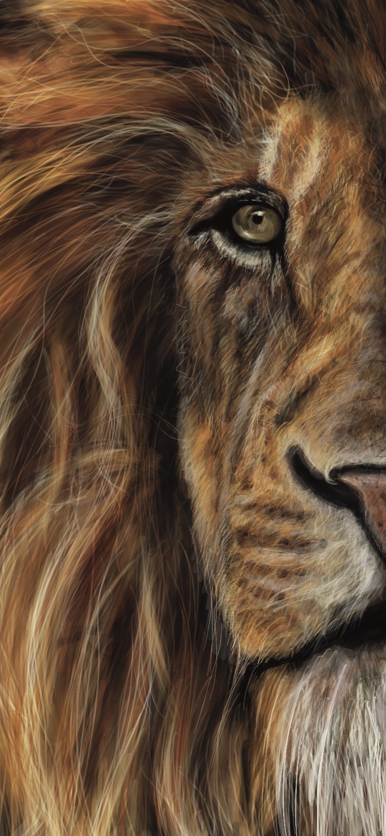 Lion portrait detail by Ari Rattan